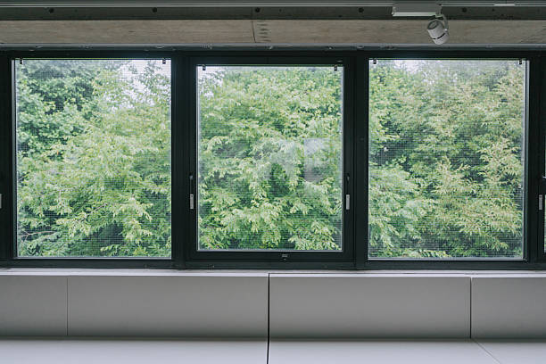 istock Panoramic window view with green foliage from modern interior 2221617985