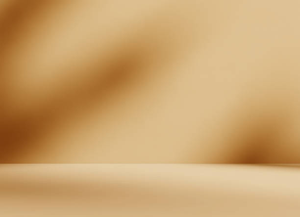 istock Autumn background room studio with sunlight effect shadow on wall and floor. 2221619199