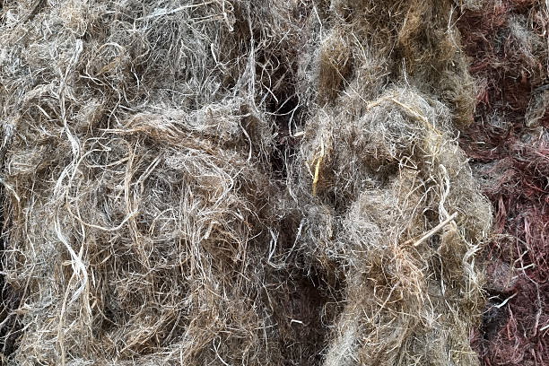 istock Textured Natural Fiber Background for Organic Craft and Design Projects 2221623892
