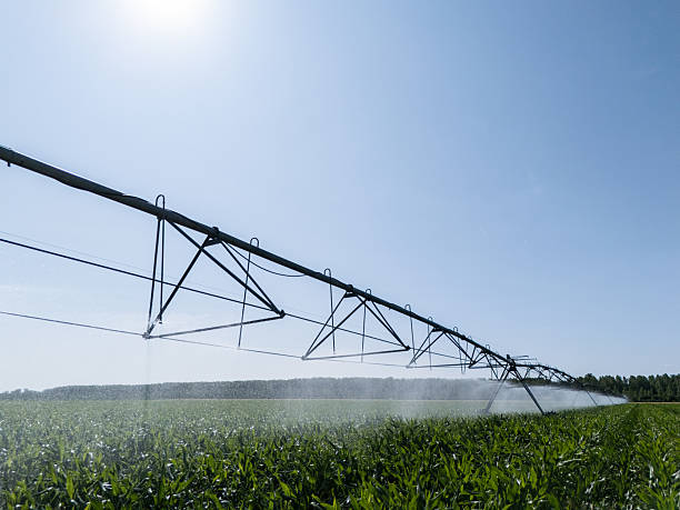 istock Agricultural pivot irrigation system on a corn field 2221634727