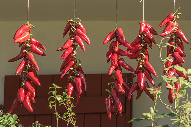 Dried red peppers in grand bazaar