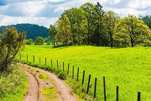 A rustic dirt path meanders through lush green fields and tree-lined hills, with a backdrop of fluffy clouds, creating a peaceful outdoor setting in springtime.