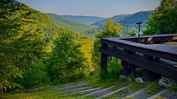 istock Fall Creek Falls wild flowers in bloom 2221639389