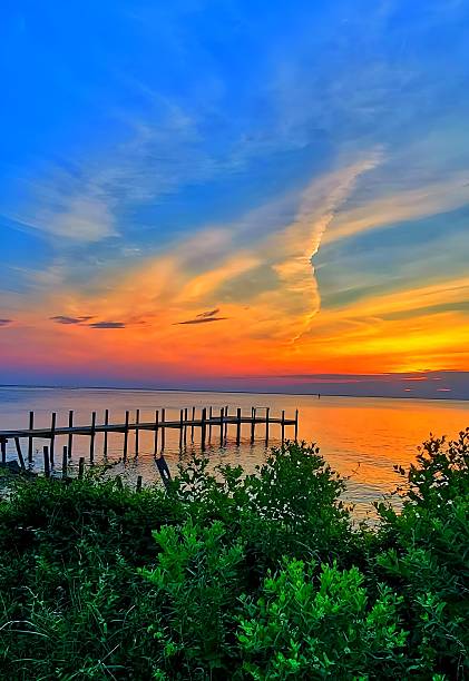 Dawn sky and clouds, fishing pier and lush foliage, view of Chesapeake Bay in southern Maryland