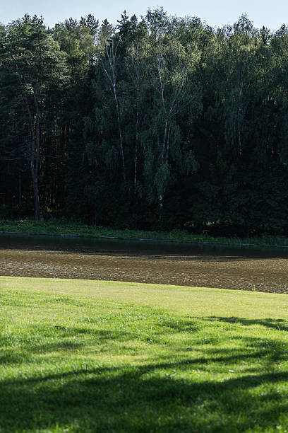 istock A Serene Landscape Featuring Lush Green Grass with Beautiful Forest Reflection Nearby 2221641590