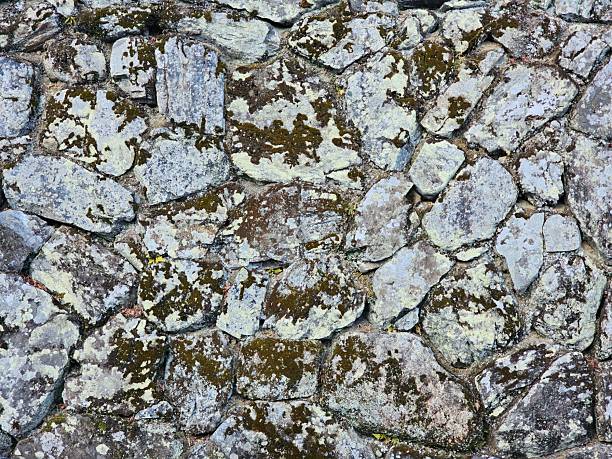 This image showcases a natural stone wall with a unique texture, featuring intricate patterns and lichen growth, perfect for backgrounds and design elements.