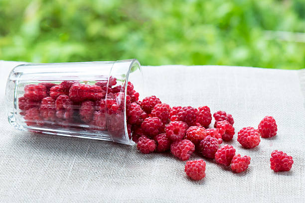Fresh raspberries in a clear glass.