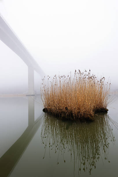 Misty morning, foggy river, bridge reflection, Gothenburg, Sweden.
