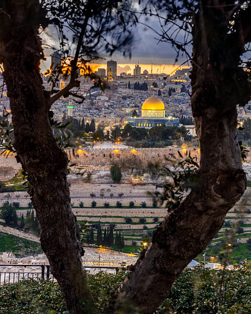 istock Al-Aqsa Mosque through an olive tree 2221644768