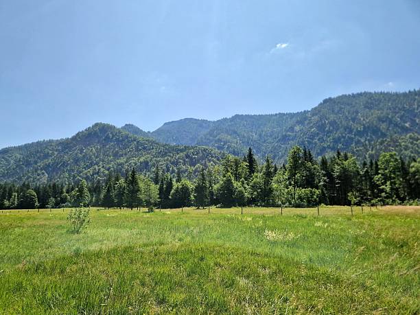 istock mountains in Bavaria Ruhpolding 2221645626