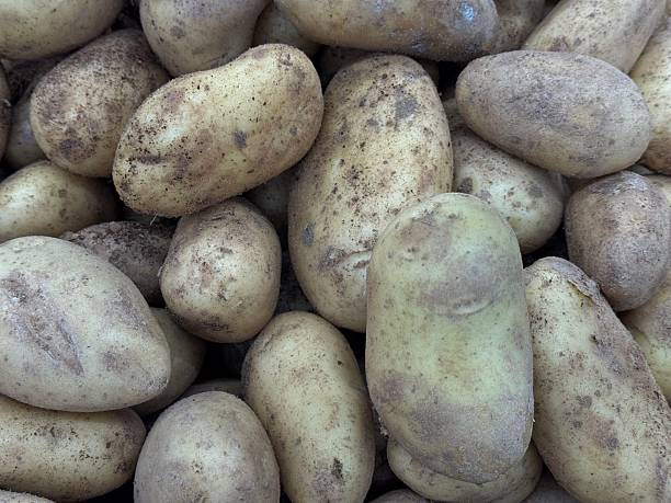Many fresh potatoes as background, top view. High quality photo