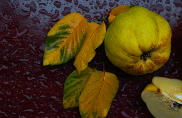 quince and leaves on the table, a drop of water on the fruit