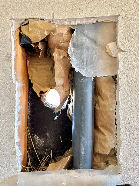 istock Woodpecker hole through siding and drywall 2221651128