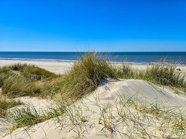 istock Serene beachfront landscape with tranquil waters and soft dunes in Denmarks coastal beauty 2221655266
