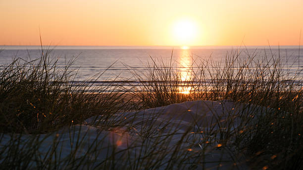istock Stunning sunset over Denmarks calm beach waters with vibrant grass in the foreground 2221656374