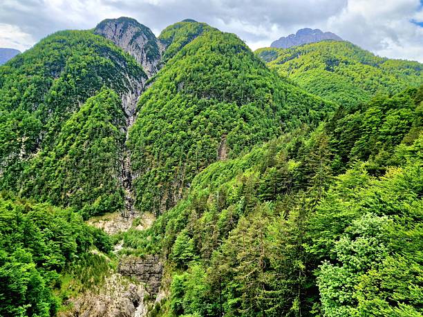 Sommer im Triglav Gebirge