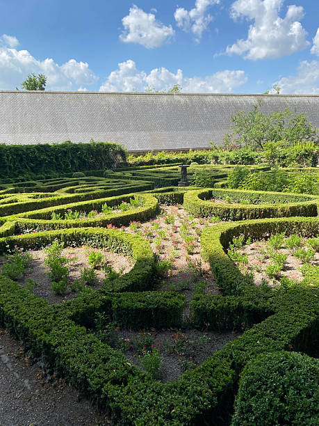 istock Classic French formal garden 2221658950