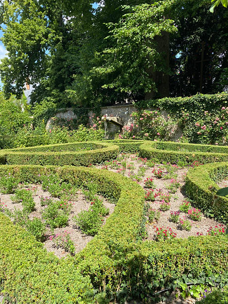 istock Classic French formal garden 2221658952
