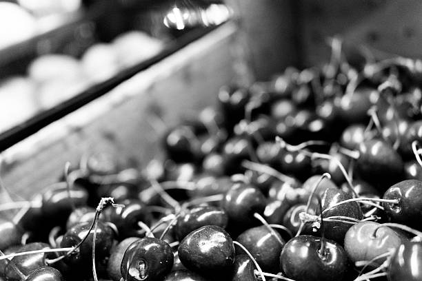 A close-up black and white photograph showcasing a large pile of fresh cherries.
