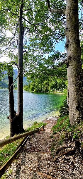 istock Raibel lake / Predil lake - Tarvisio 2221670022