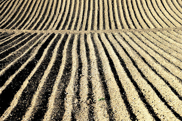 istock Plowed agricultural land 2221673625