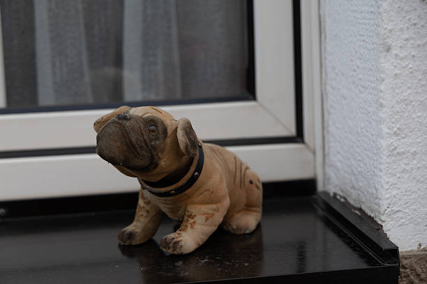 Small bulldog statue with collar sitting on a window sill against a white background.