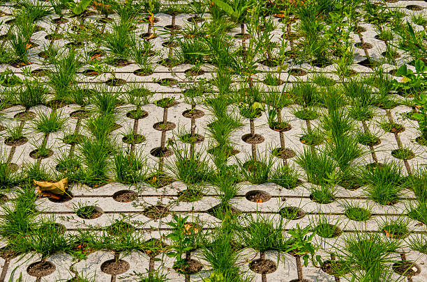 Grass and other weeds growing between open street tiles on a parking lot in Rotterdam, The Netherlands
