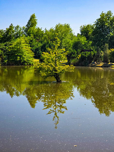 istock Tranquil Lake Landscape with Reflections and Natural Scenery 2221683298