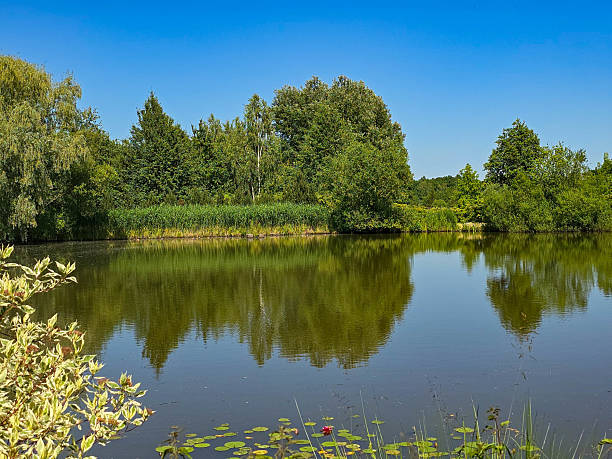 istock Tranquil Lake Landscape with Reflections and Natural Scenery 2221683594