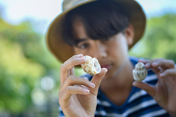 A young boy wearing a striped shirt and sun hat sits outdoors holding two beautiful seashells, surrounded by lush greenery. Perfect for themes of summer, nature, childhood, or beach discovery.