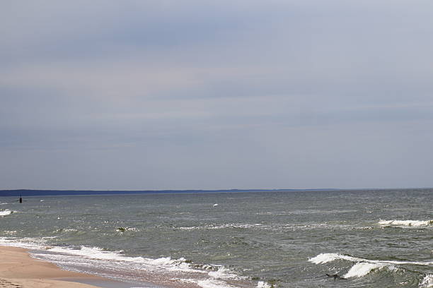 A white seagull flying away from the seashore