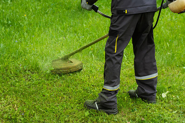 istock Worker in uniform mowing grass with a string trimmer in a public green area. Manual labor and professional landscaping work. 2221695627