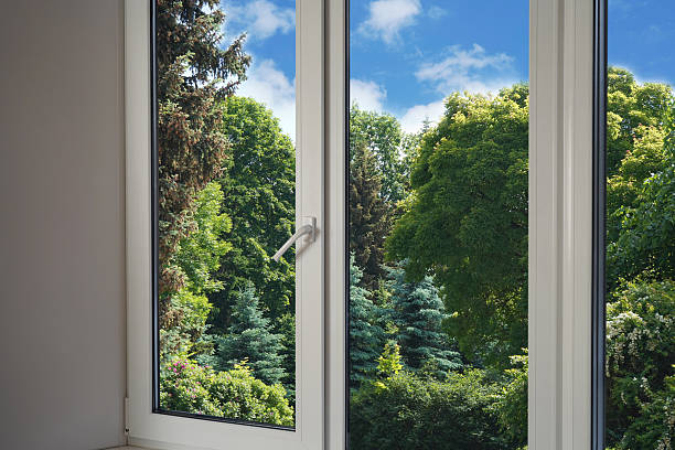 istock View through a panoramic window of a forest, a park with green trees. 2221698129