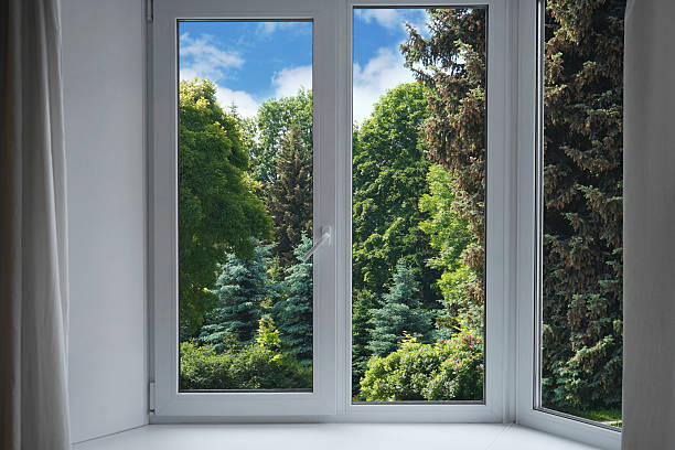 istock View through a panoramic window of a forest, a park with green trees. 2221698138