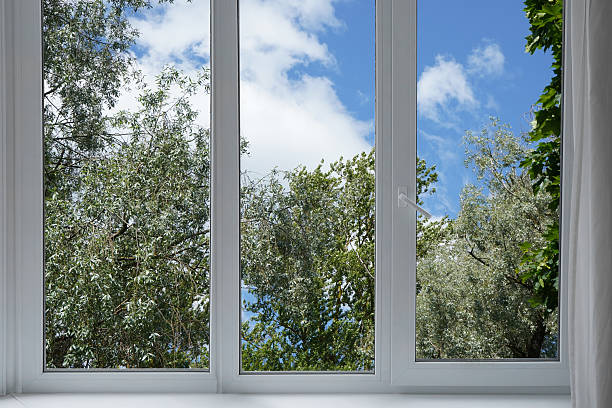 istock View through a panoramic window of a forest, a park with green trees. 2221698162