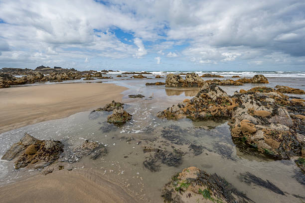istock Duckpool  beach natural forming rockpools at low tide 2221698477