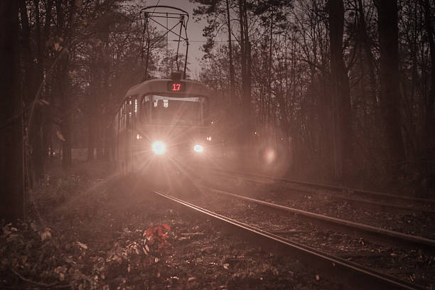 istock Tram Approaching Through Forest nature in Fog. Autumn dark night 2221699328