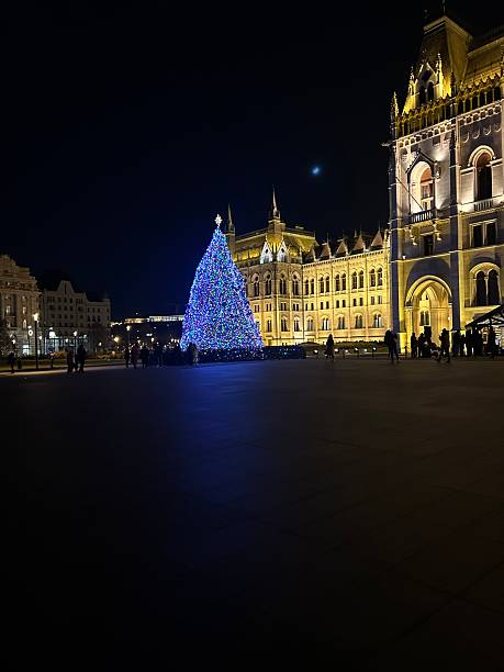 istock Christmas Tree by the Hungarian Parliament Building at Night 2221702011
