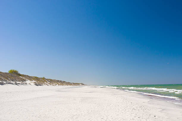 istock Sand dunes landscape at the Baltic sea 2221707324