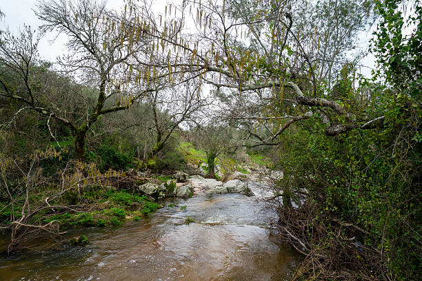 istock A small stream flows between rugged rocks in a natural landscape. 2221711539