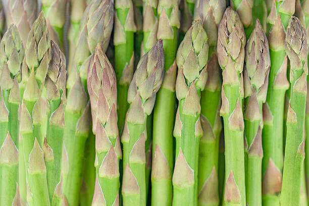 istock Fresh Green Asparagus Spears – Close-Up Texture Background 2221715580