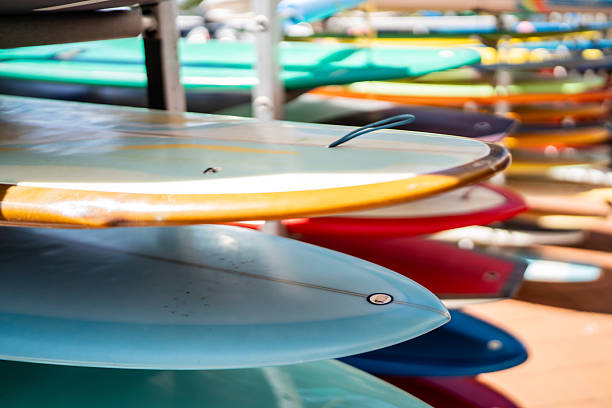 istock Assorted Surfboards for Sale at Surfboard Shop 2221729187