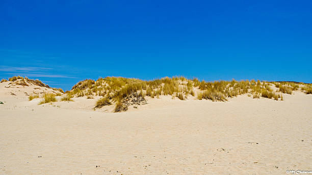 istock Simos beach - Elafonissos - Greece 2221729488
