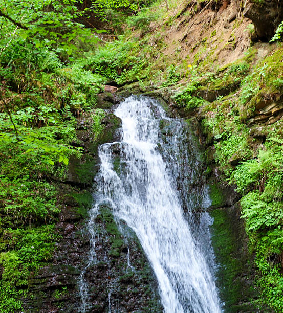 istock This shot features a mountain waterfall cascading down mossy rocks, surrounded by lush green vegetation. The image conveys the freshness and dynamism of nature, 2221738167