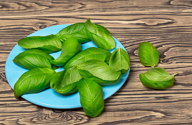 round blue plate with green basil leaves on wooden background