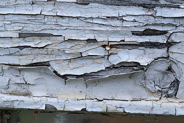Weathered peeling paint on old wooden surface exposing wood texture.