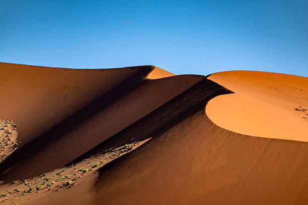 Beauty in the Namib desert