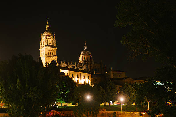 istock Salamanca cathedral at night 2221749174