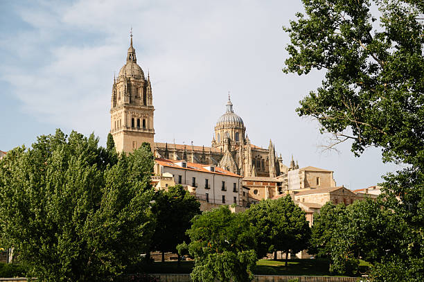 istock Salamanca Cathedral 2221749468