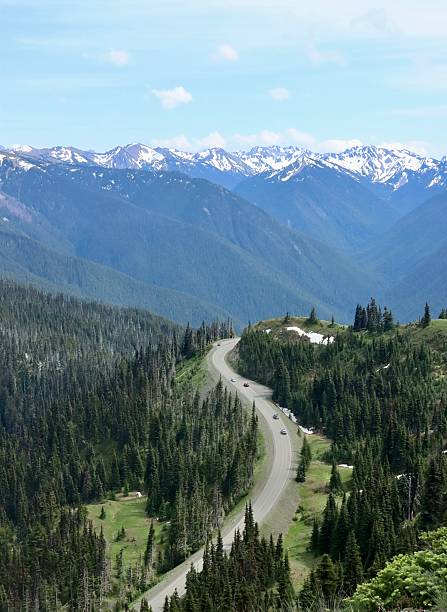 istock The Scenic Road To Hurricane Ridge 2221750756